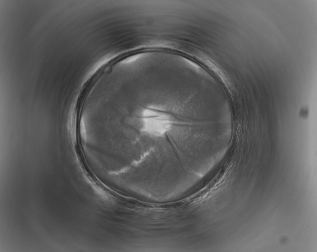 X0000116801127201001081329