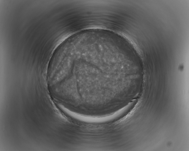 X0000116801129201001081329