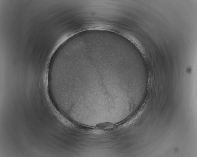 X0000116801130201001081329