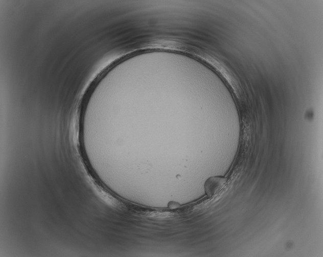 X0000116801131201001081329