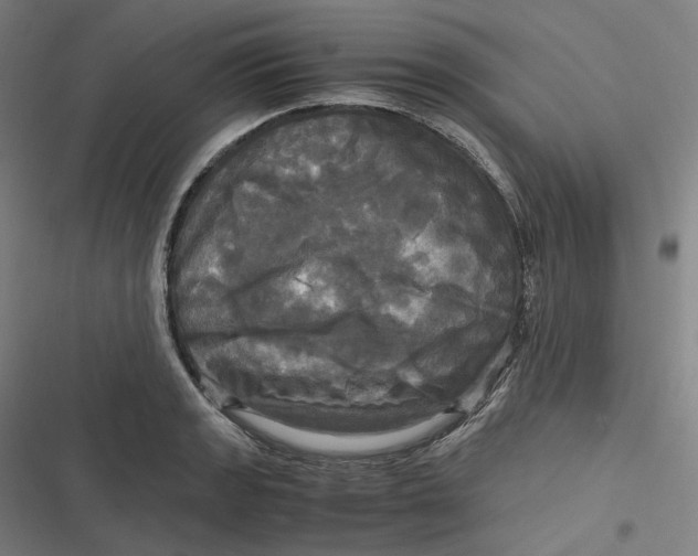 X0000116801133201001081329