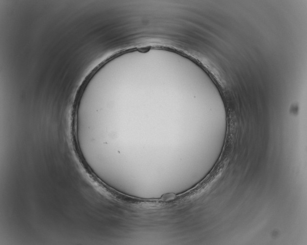 X0000116801134201001081329