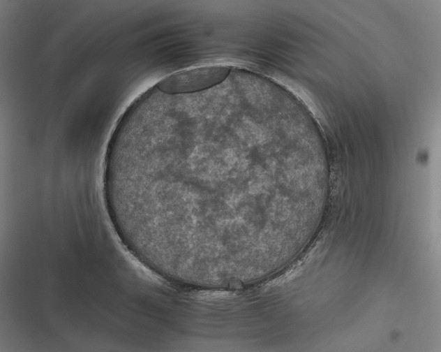 X0000116801135201001081329