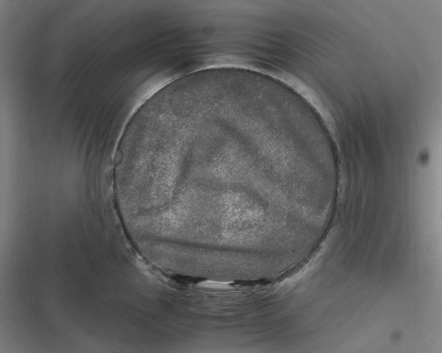 X0000116801145201001081329