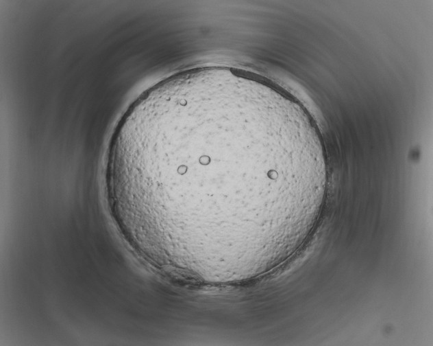 X0000116801146201001081329