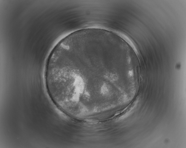 X0000116801149201001081329