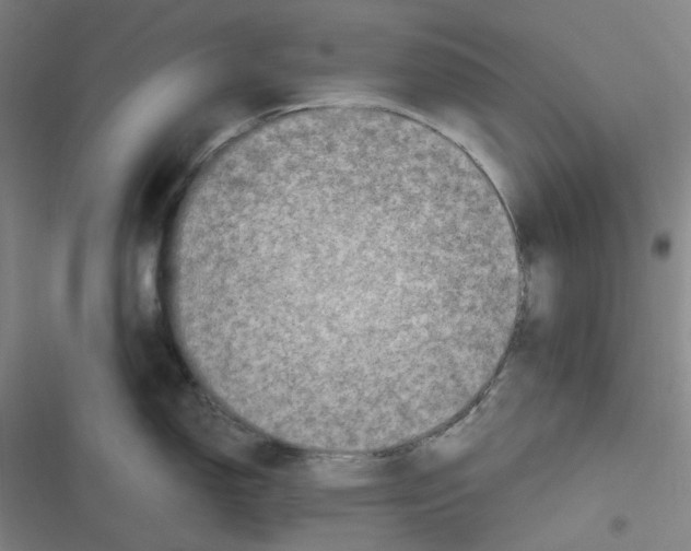 X0000116801150201001081329