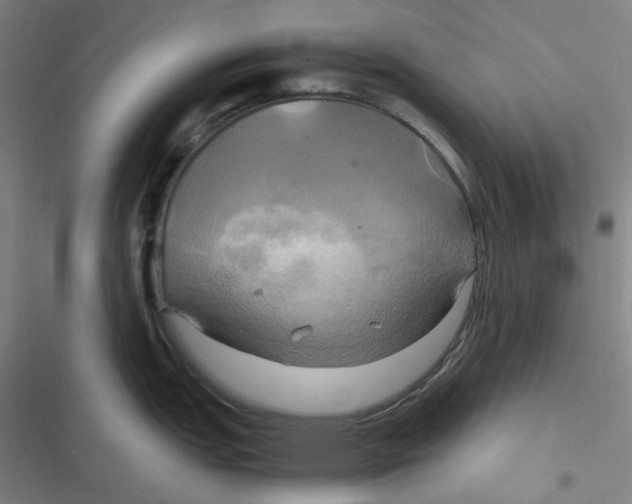 X0000116801151201001081329