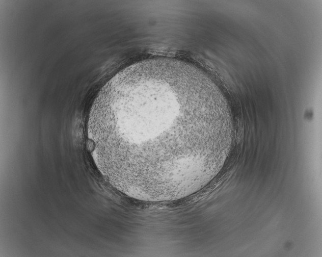 X0000116801154201001081328