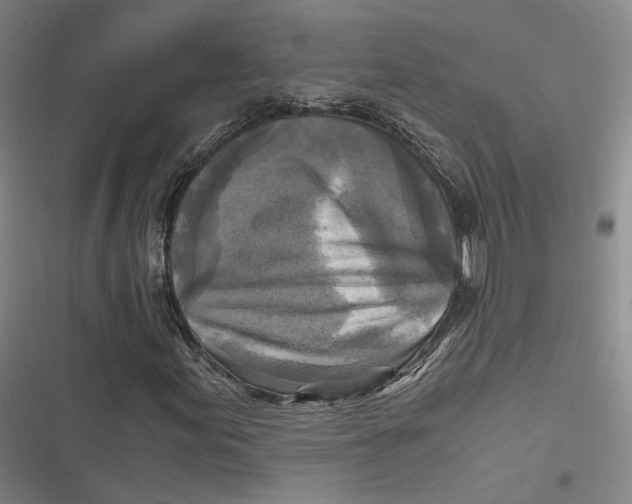 X0000116801155201001081328