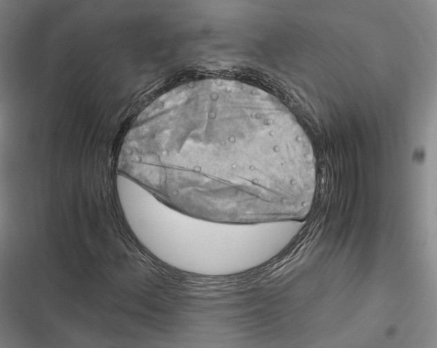 X0000116801156201001081328