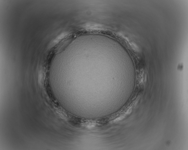 X0000116801157201001081328