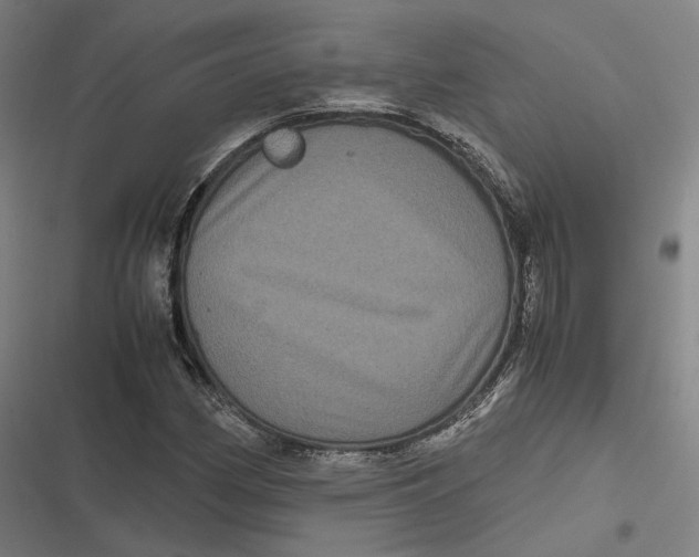 X0000116801162201001081328