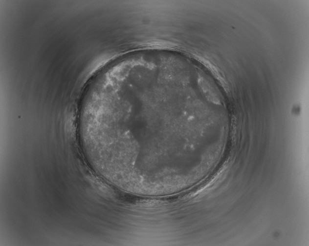 X0000116801163201001081328