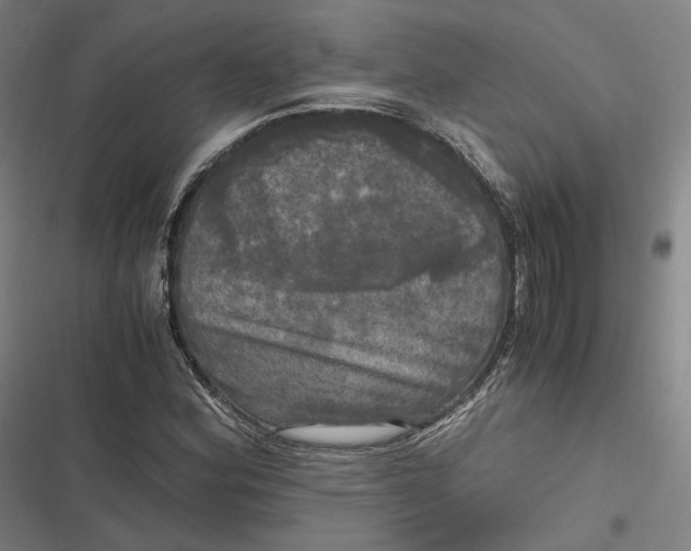 X0000116801164201001081328