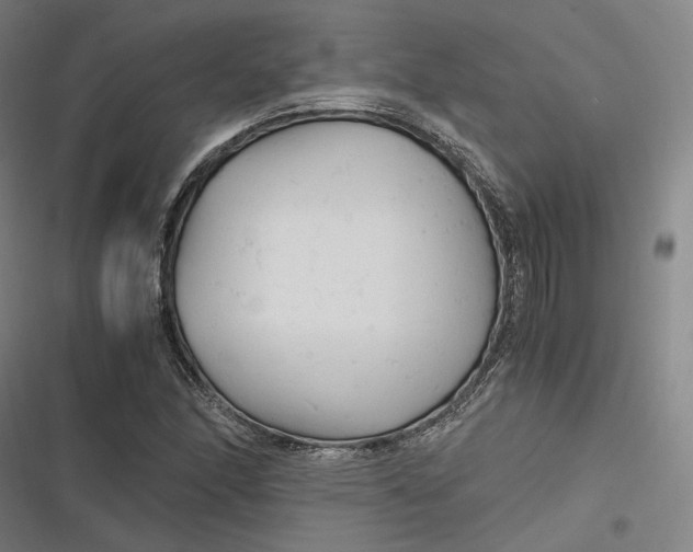 X0000116801166201001081328