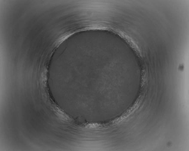 X0000116801169201001081328