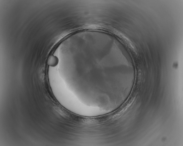 X0000116801170201001081328