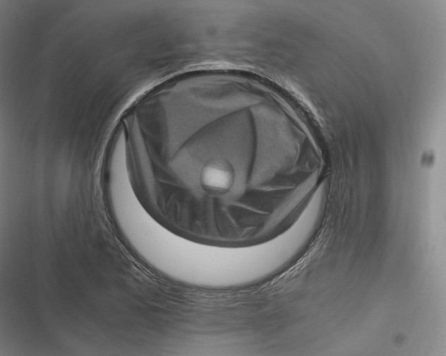 X0000116801173201001081328