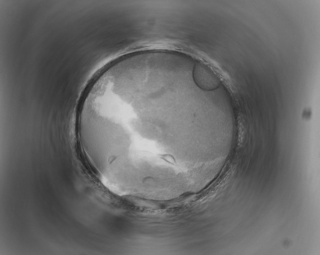 X0000116801174201001081328