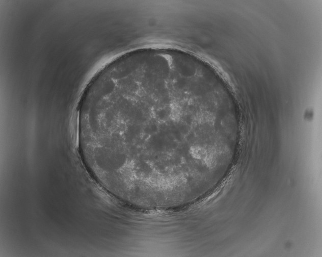 X0000116801175201001081328