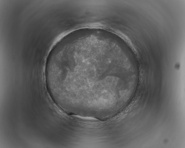 X0000116801176201001081328