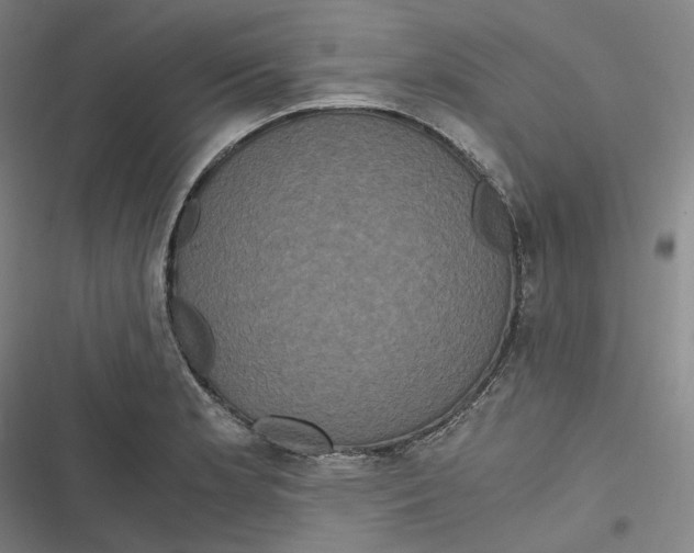 X0000116801181201001081328