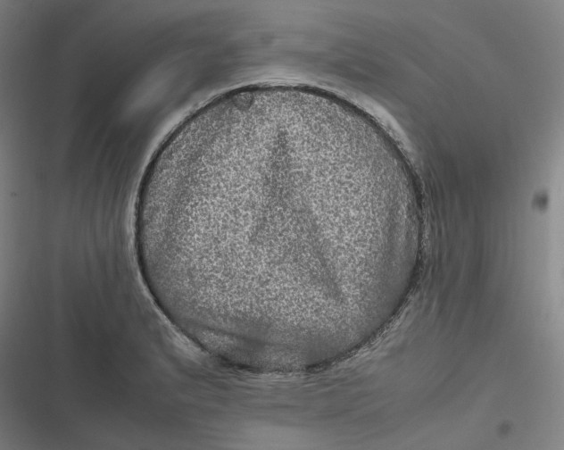 X0000116801183201001081328