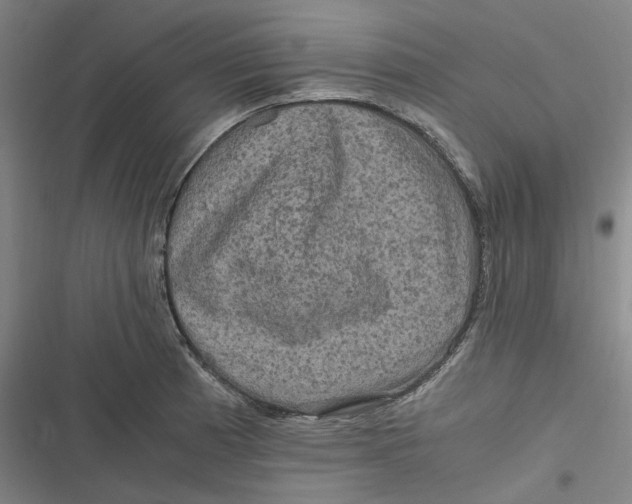 X0000116801185201001081328