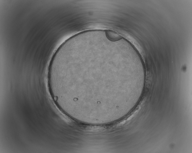 X0000116801187201001081328