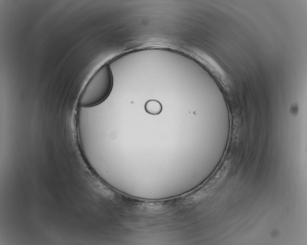 X0000116801190201001081328