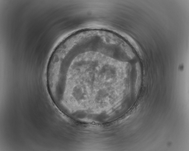 X0000116801191201001081328