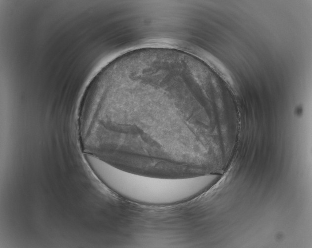 X0000116801192201001081328