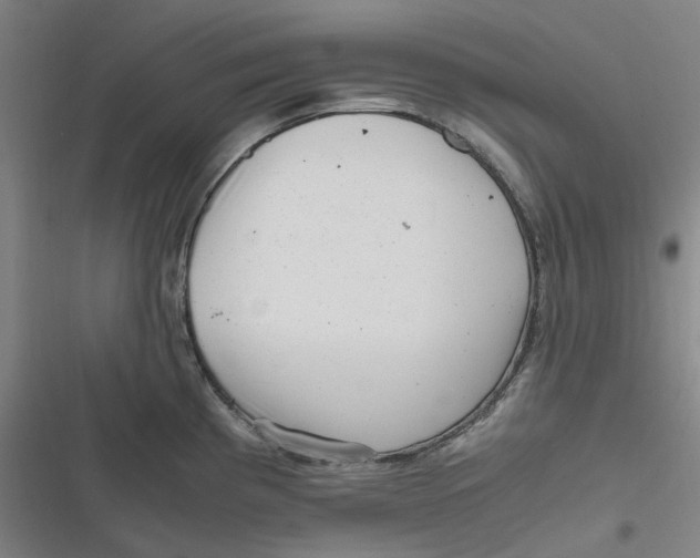 X0000116801193201001081328