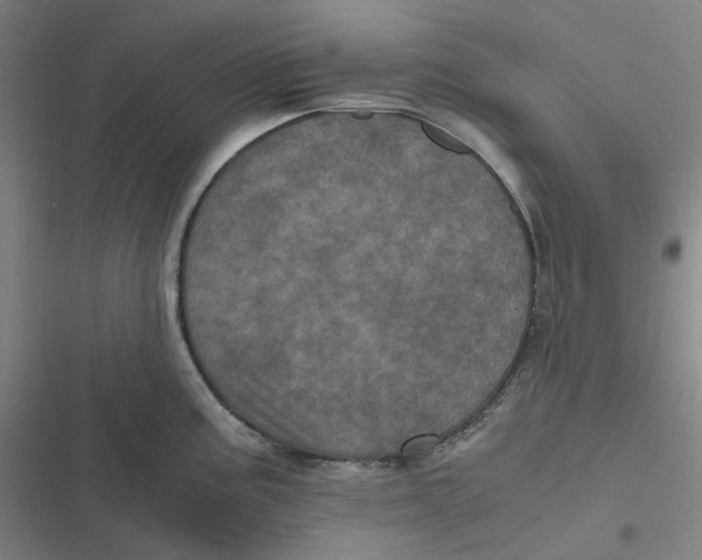 X0000116801195201001081328