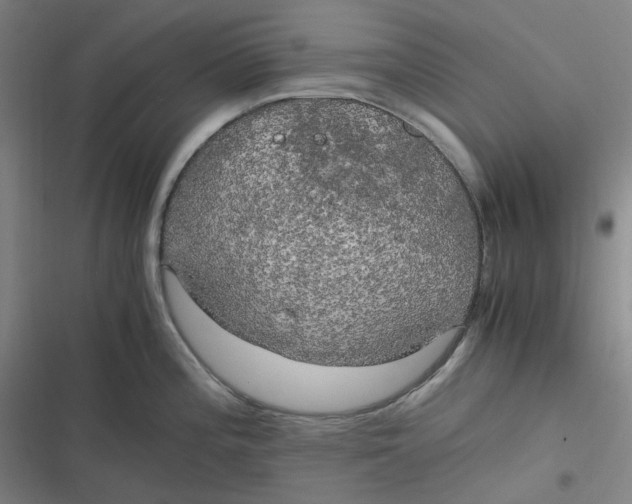 X0000116801196201001081328