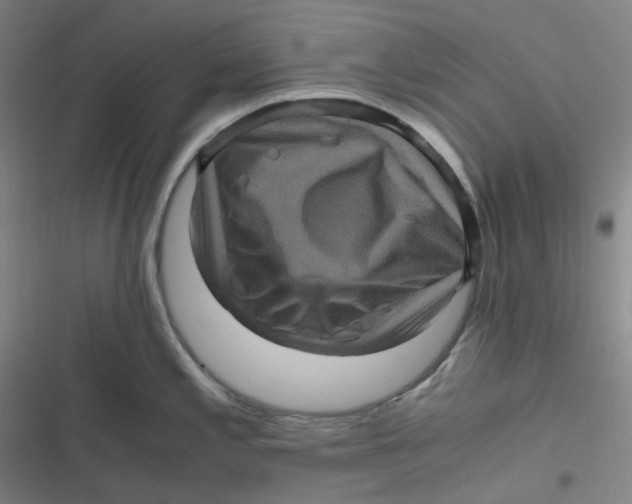 X0000116801197201001081328