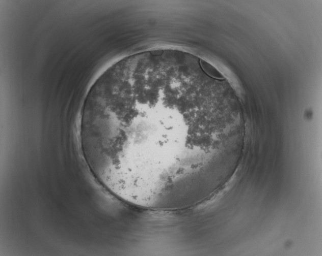 X0000116801198201001081328