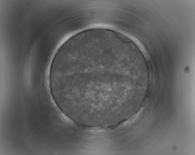 X0000116801199201001081328