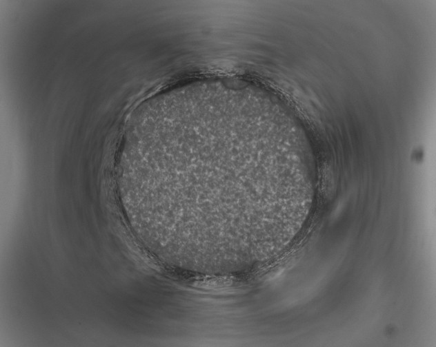 X0000116801201201001081327