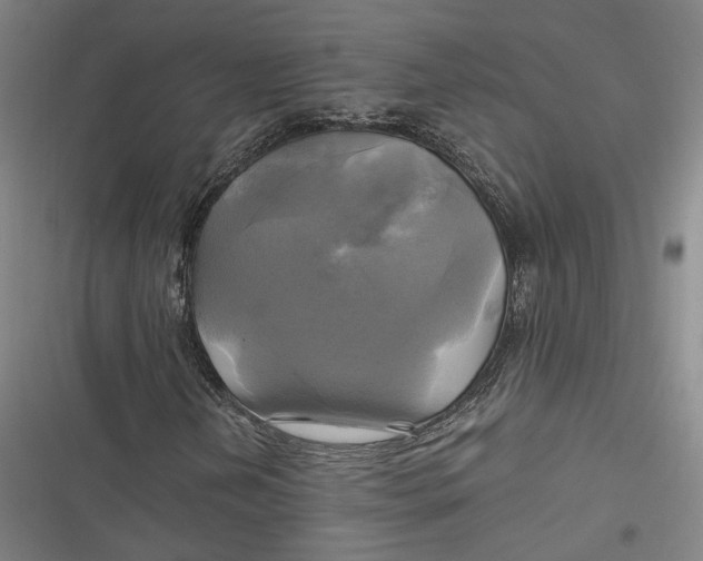 X0000116801202201001081327