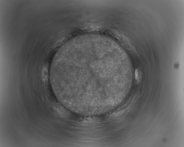 X0000116801203201001081327