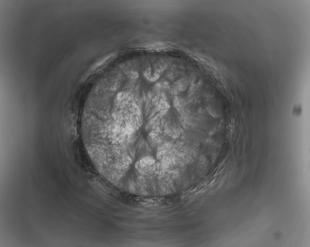 X0000116801205201001081327