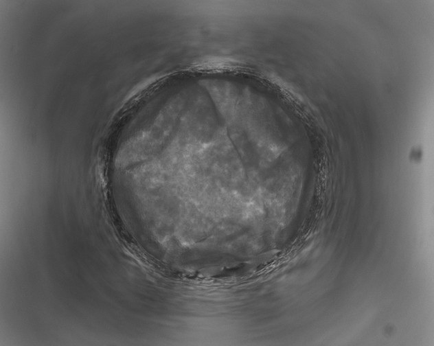 X0000116801206201001081327