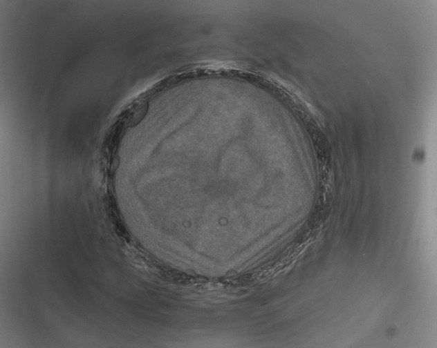 X0000116801207201001081327