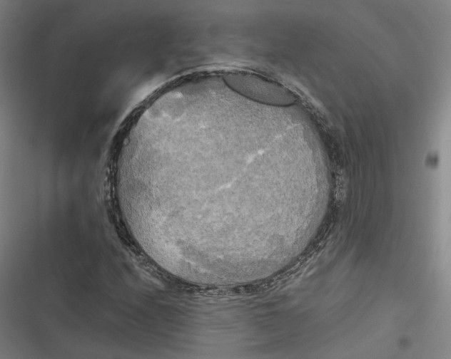 X0000116801208201001081327