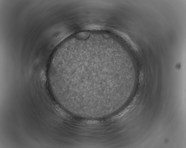 X0000116801209201001081327