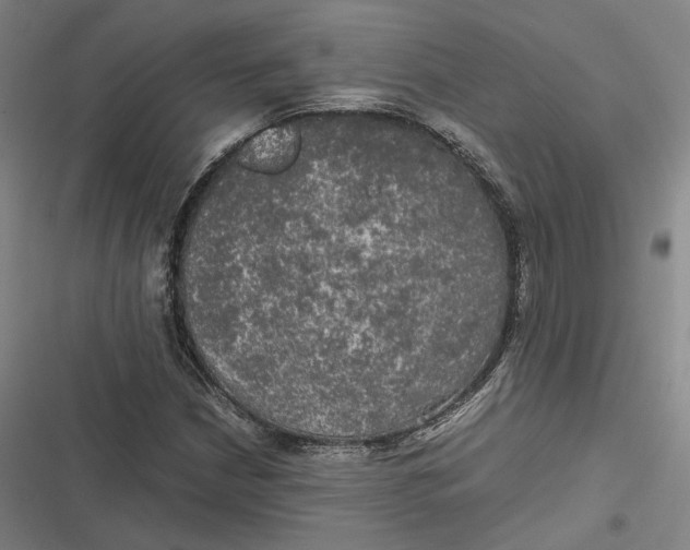 X0000116801210201001081327