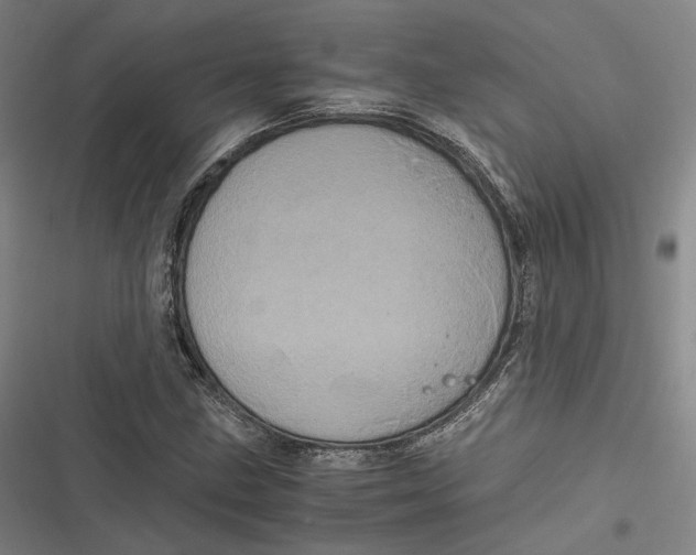 X0000116801211201001081327