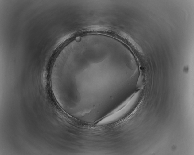 X0000116801213201001081327